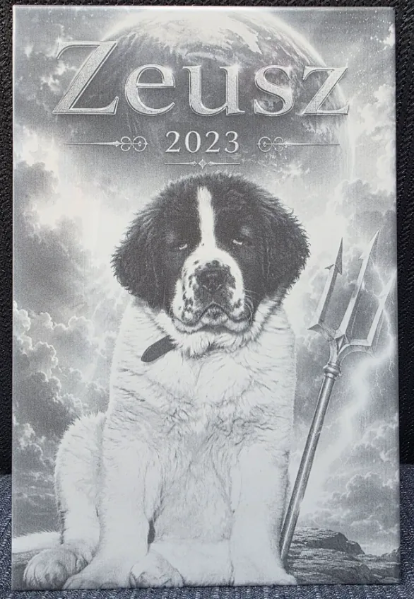 Laser engraving by Kovács György, made with DithX